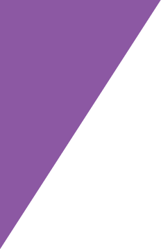 purpleOverlay purpleOverlay